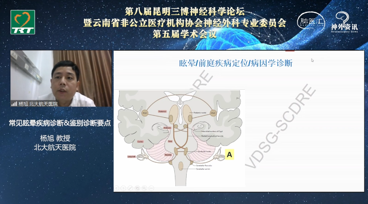 杨旭.png
